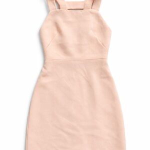 Club Monaco Strapless Blush Dress